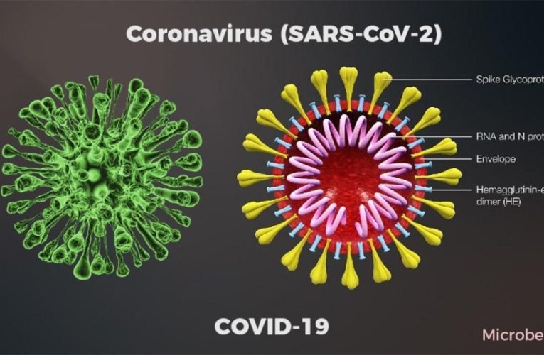 Coronavirus disease (COVID-19) advice for the public