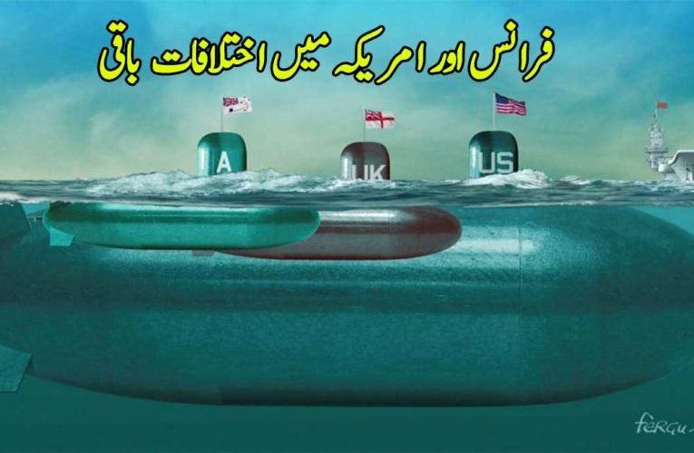 فرانس اور امریکہ میں اختلافات  باقی